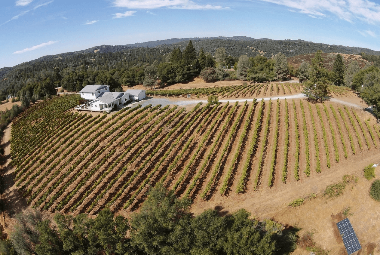 Aerial view of Apetahi Vineyard and Polynesian Girl Winery in the Sierra Foothills