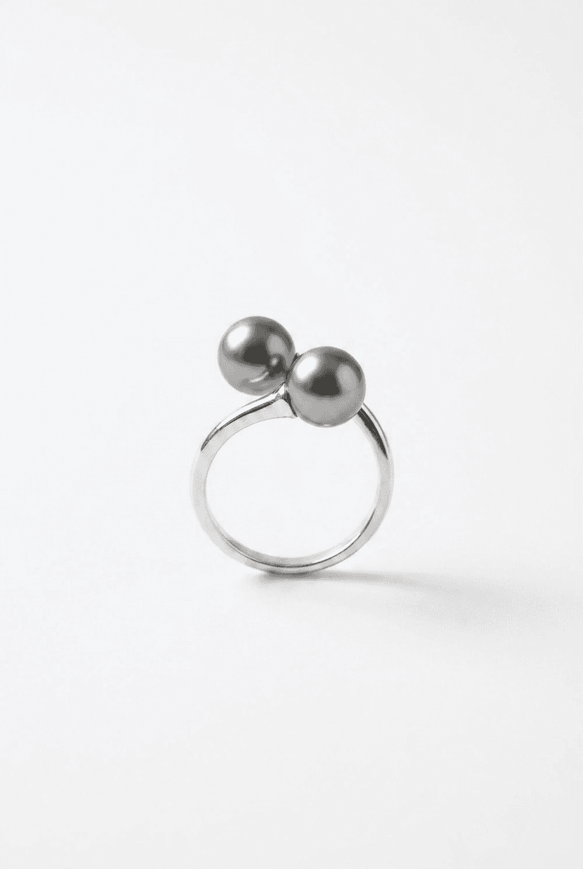 Ring PGR2 — on model