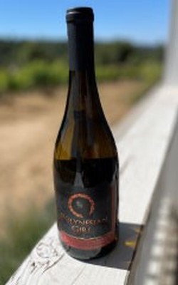 2019 Carneros SJ Chardonnay